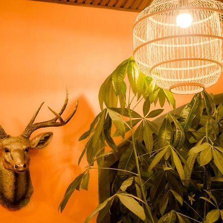 Steed Hotel 달랏 외부 사진